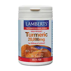 Lamberts Curcuma 20.000 mg Turmeric 120 tabletten