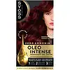 Syoss Color Oleo Intense Haarverf 4-23 Bordeaux Rood