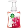 Dettol Handzeep Foam Roos & Kersenbloesem