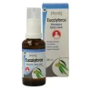 Physalis Eucalyforce Neusspray 30 ml